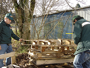 Vigilancia Forestal 03